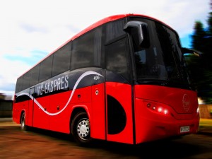 Nibus new 1